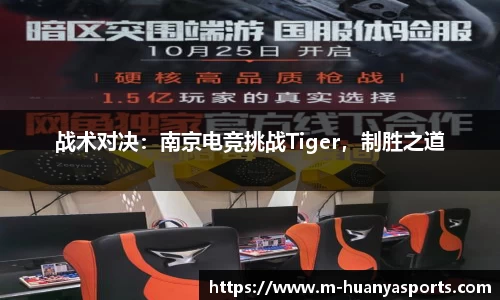 战术对决：南京电竞挑战Tiger，制胜之道